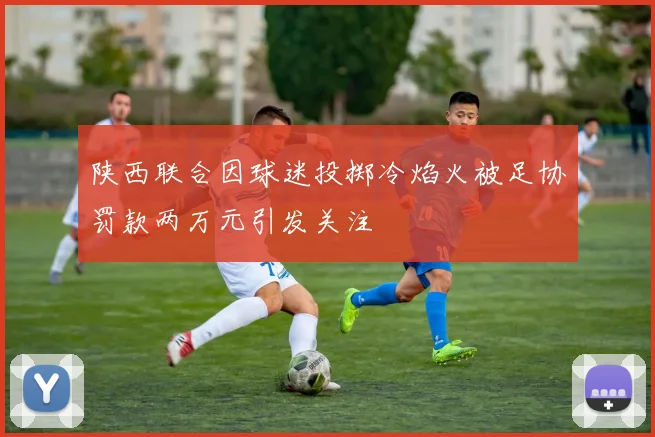 陕西联合因球迷投掷冷焰火被足协罚款两万元引发关注
