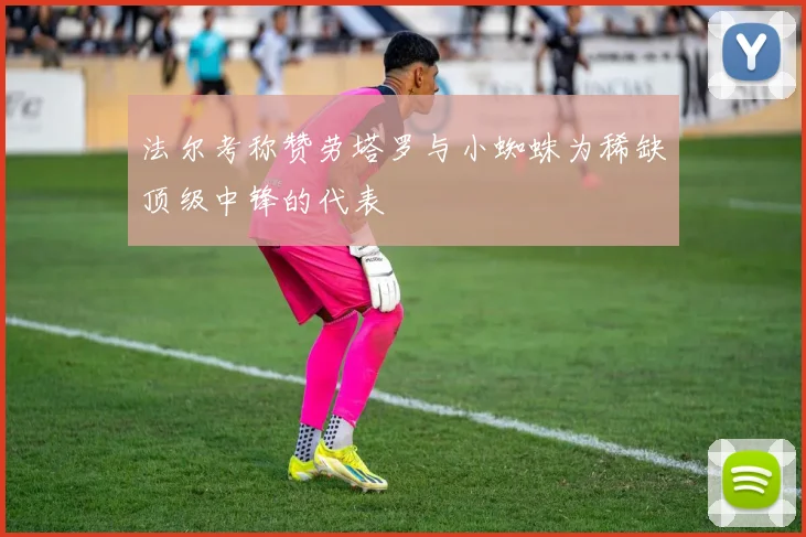法尔考称赞劳塔罗与小蜘蛛为稀缺顶级中锋的代表